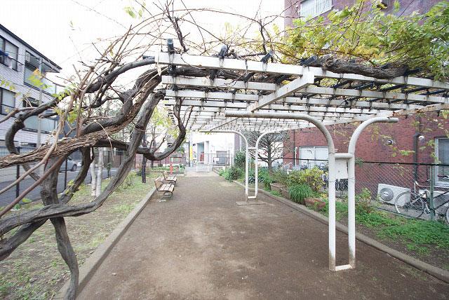 Local appearance photo. Local (12 May 2013) Shooting