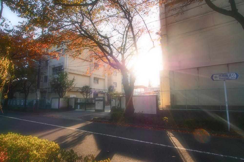 Other. Yoga up to elementary school 150m (2 minutes)