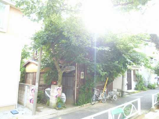 Local land photo. Appearance (1)