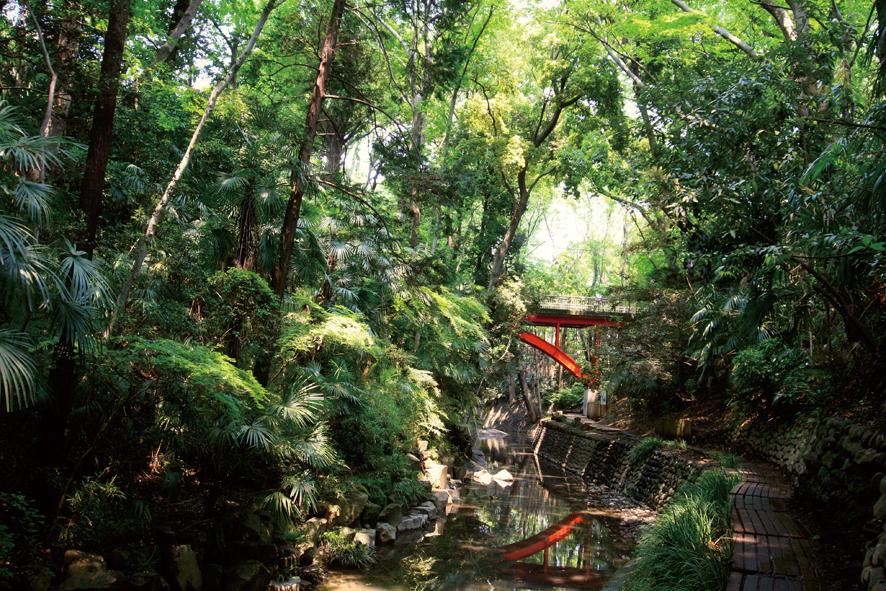 park. Todoroki 1760m 2013 years May shooting to valley