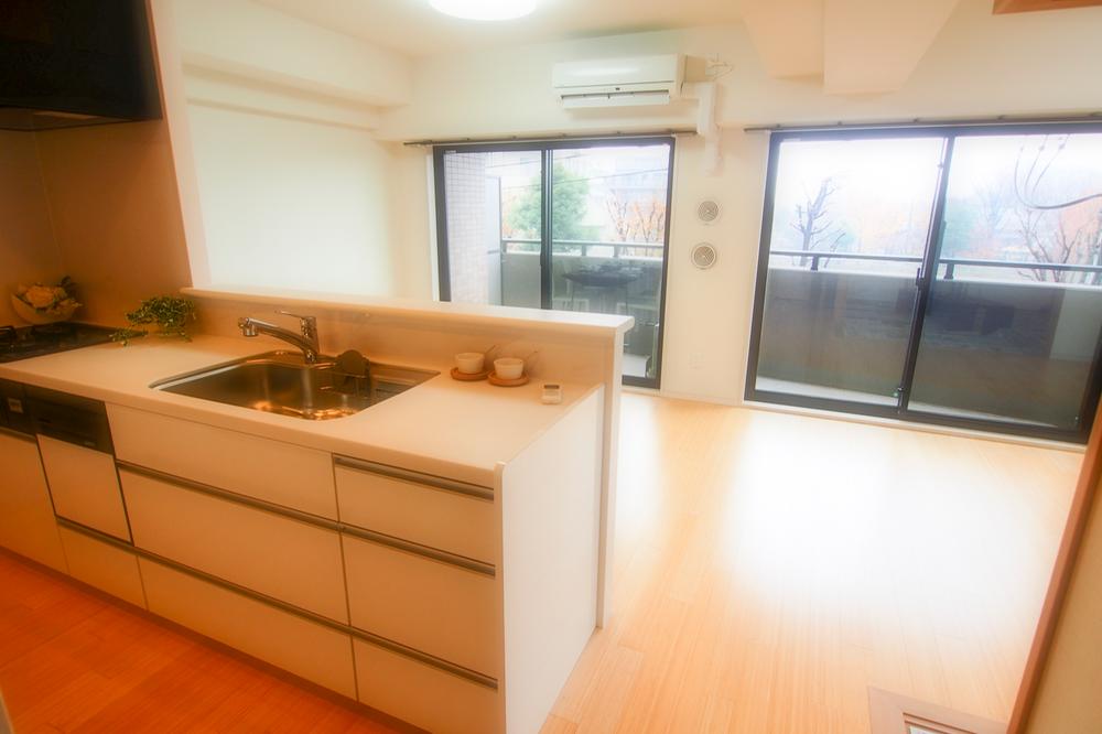 Living. Indoor (12 May 2013) Shooting