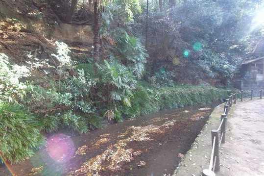 Other. Todoroki Valley About than local 750m It is a power spot and reputation. 