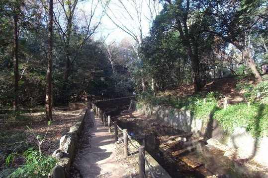 Other. Todoroki Valley  In Tokyo, There is such a good place. It is full of negative ions. 