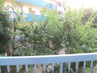 View photos from the dwelling unit