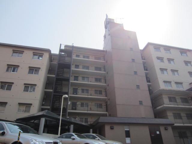 Local appearance photo. Local (10 May 2013) Shooting