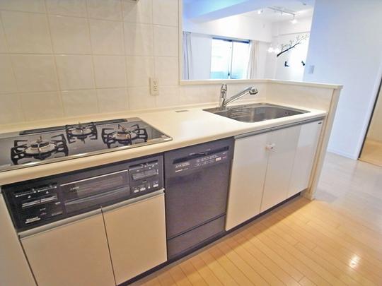 Kitchen. Dishwasher 3-neck system Kitchen