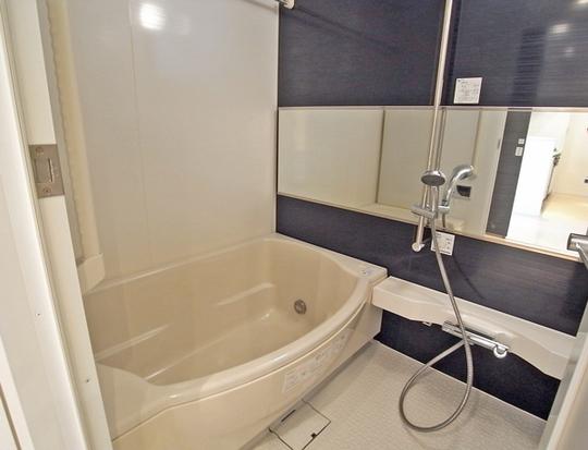 Bathroom. Tub is also a large bathroom