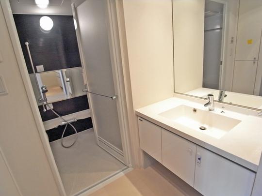 Wash basin, toilet. Wash dressing room