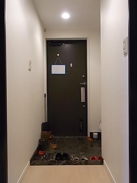 Entrance. Entrance of natural stone used