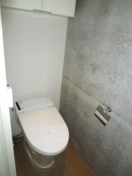 Toilet. Indoor (12 May 2013) Shooting