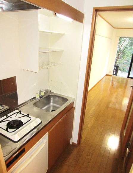 Kitchen. Gas stove! With mini fridge