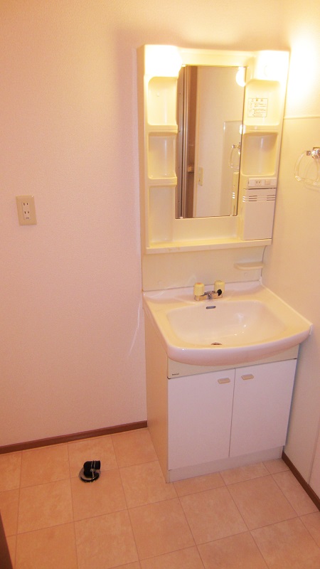 Washroom. Popular! Independent wash basin! Indoor Laundry Storage