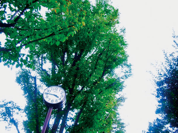 Surrounding environment. Daidakita square (about 80m from local)