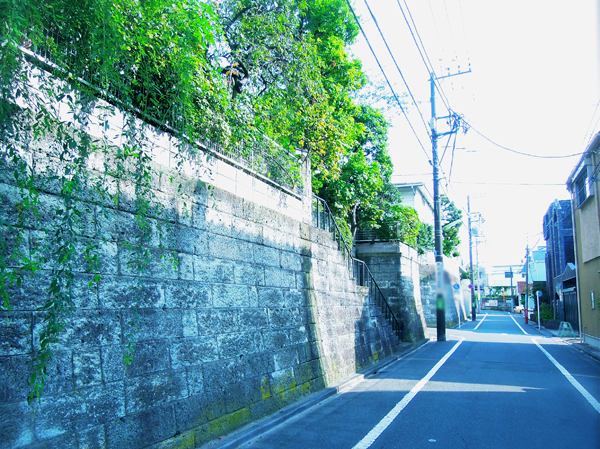 Surrounding environment. Local neighborhood streets (about 300m from local)