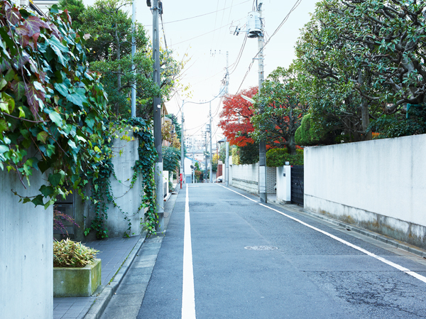 Surrounding environment. Local neighborhood streets (about 350m from local)