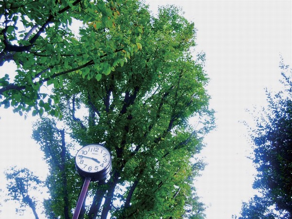 Building structure. Daidakita square (about 80m from local)