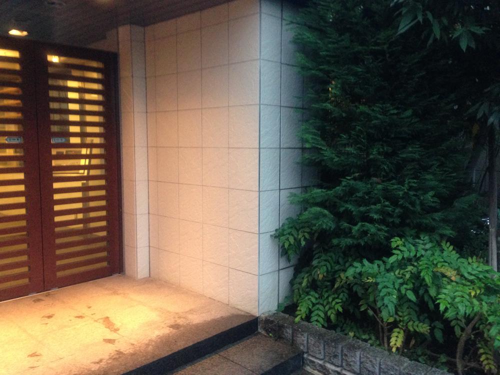 Local appearance photo. Local (11 May 2013) Shooting