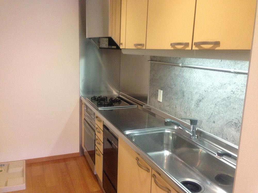 Kitchen. Indoor (12 May 2013) Shooting