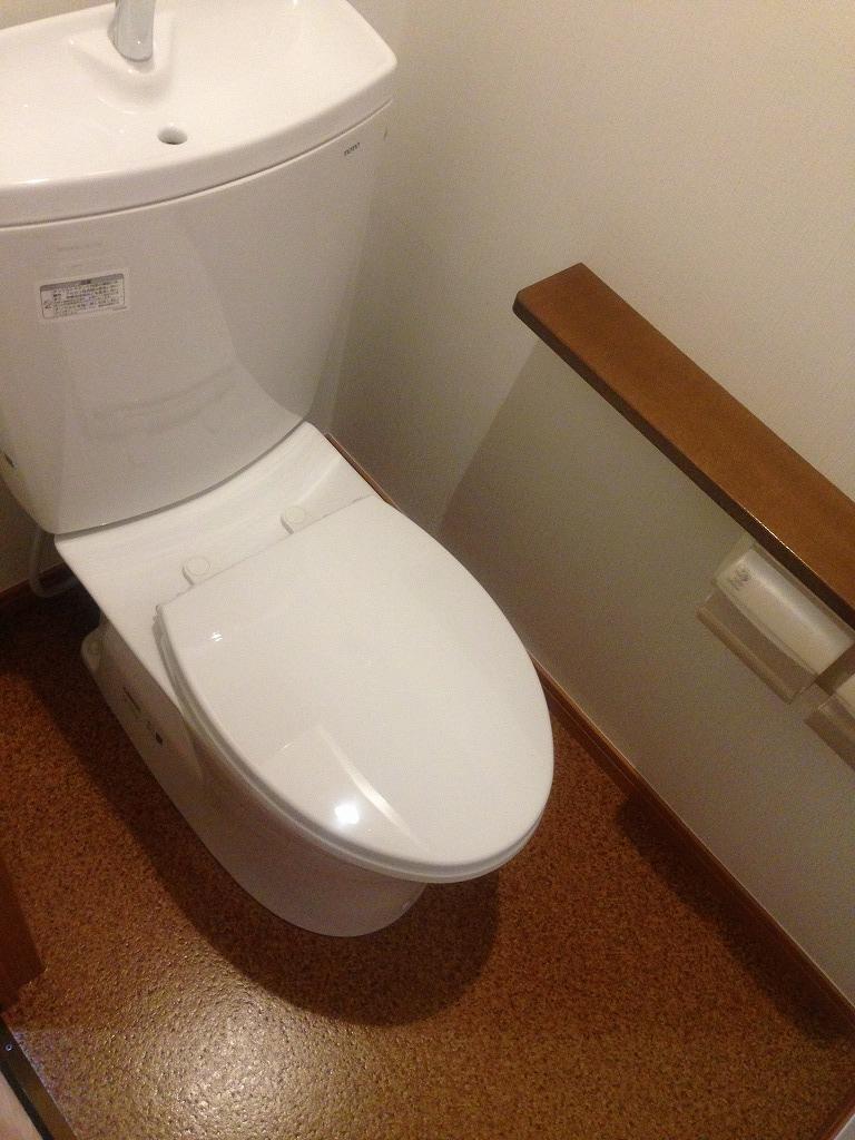 Toilet. Indoor (12 May 2013) Shooting