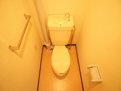 Toilet. Toilet with cleanliness