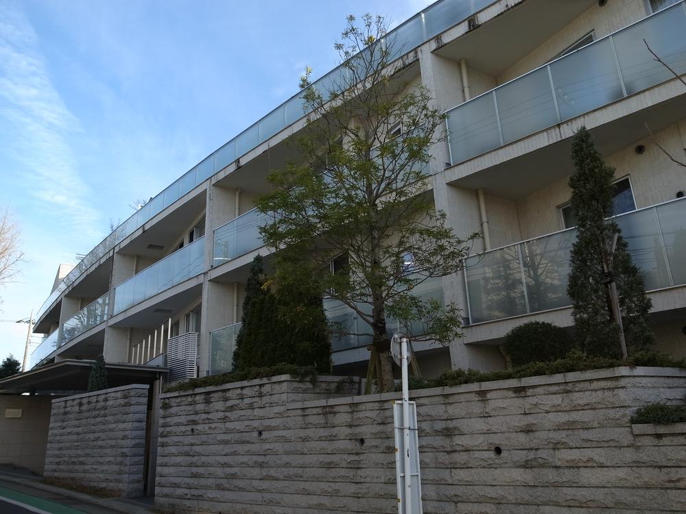 Local appearance photo. Local site (December 2013) Shooting