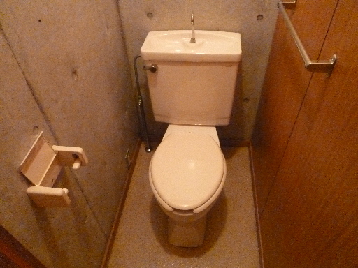 Toilet