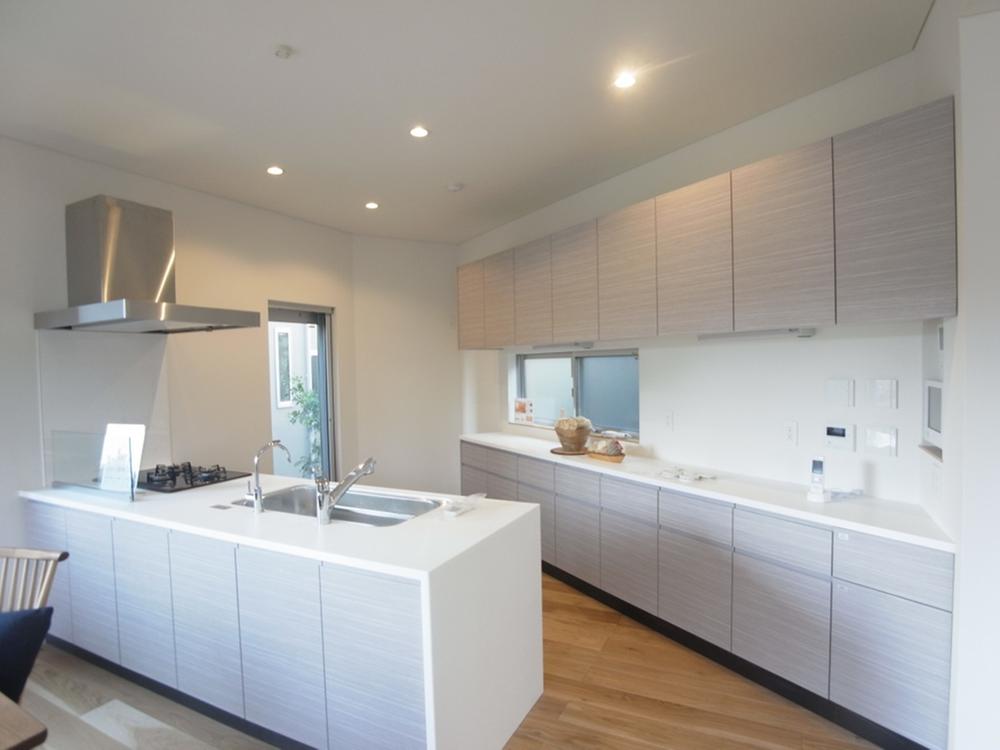 Kitchen. Indoor (11 May 2013) Shooting