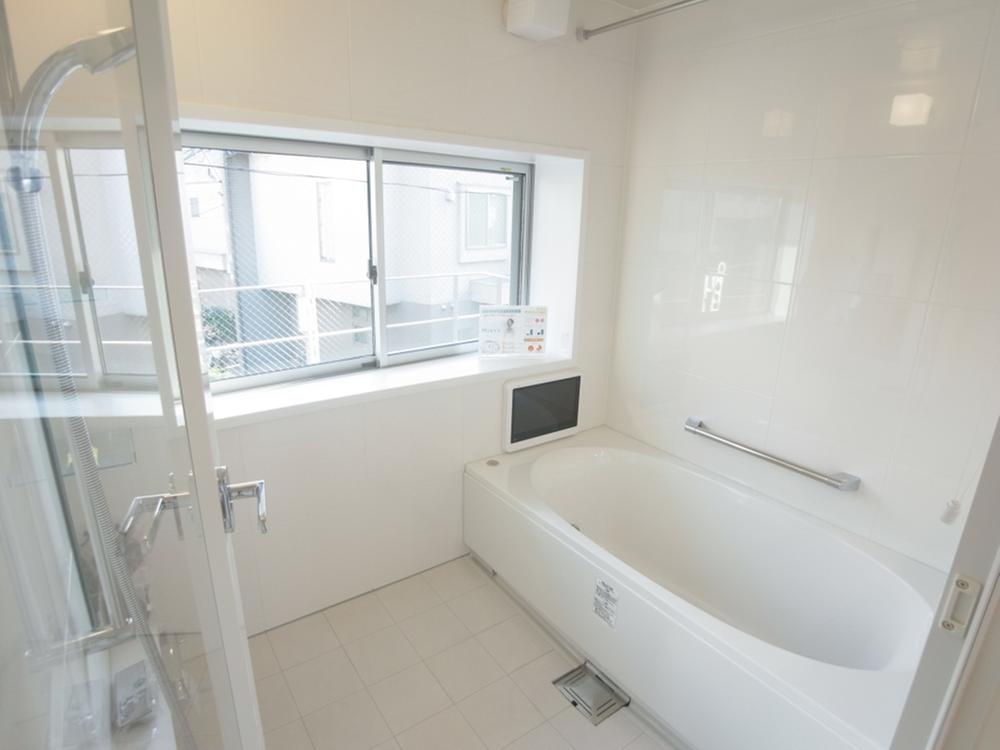 Bathroom. Indoor (11 May 2013) Shooting