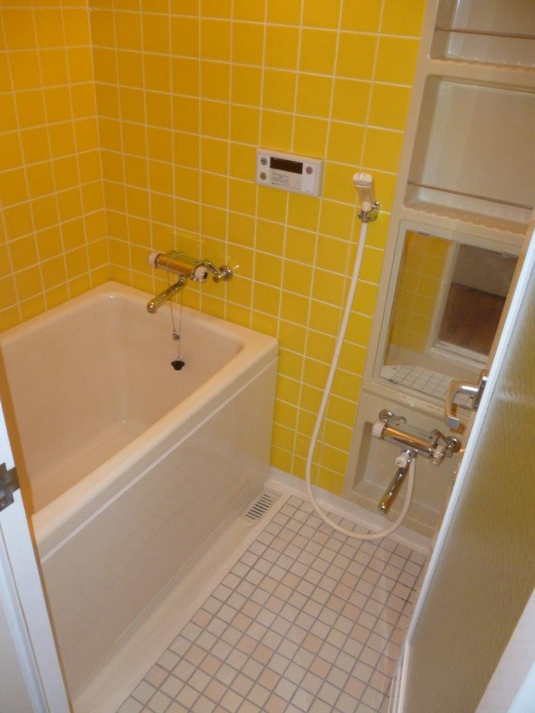 Bathroom. Indoor (10 May 2013) Shooting