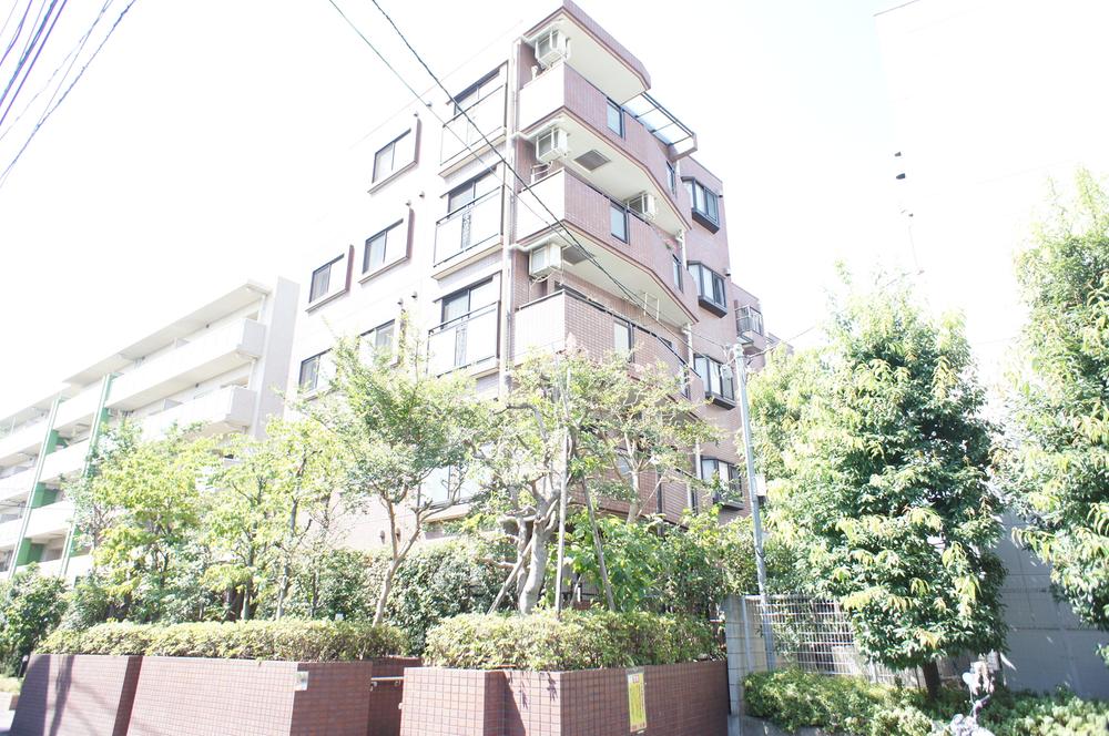 Local appearance photo. Local (10 May 2013) Shooting