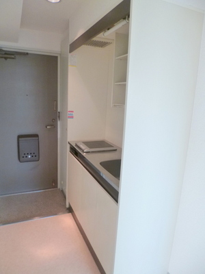 Kitchen. Kitchen electrical appliances