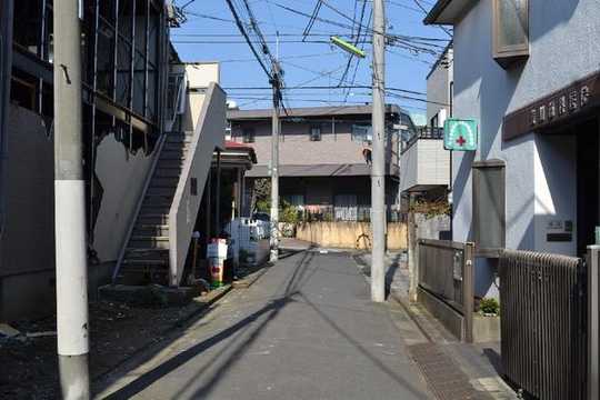 Local land photo. Near the property front road