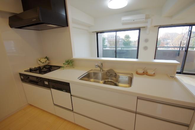 Kitchen. Indoor (12 May 2013) Shooting