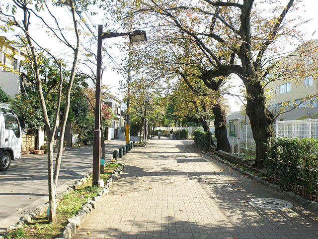 Local photos, including front road