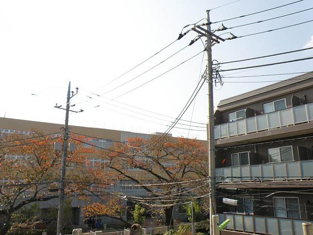 View photos from the dwelling unit