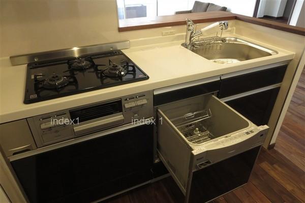 Kitchen. Kitchen with wife-friendly dishwasher