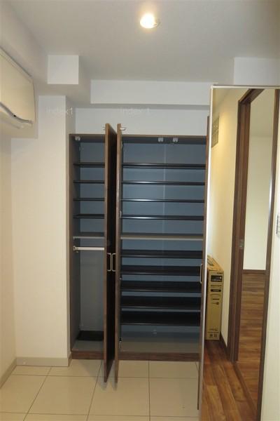 Entrance. This is useful with a mirror in the storage door