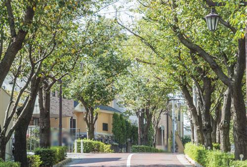 Other Environmental Photo. Until the saddle Bridge Street  ※ A: 600m / Walk 11 minutes (or less ※ A: Proud season Soshigaya empty town,  ※ B: Proud season Soshigaya distance from the green of the city ・ It will be the number of minutes)