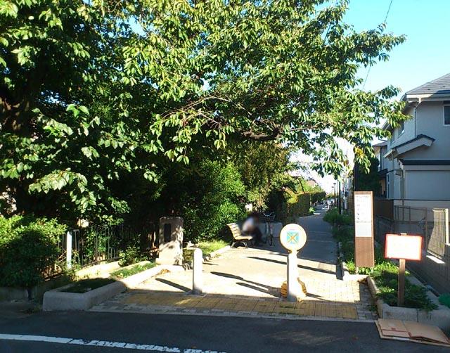 Other. Kitazawa River green road