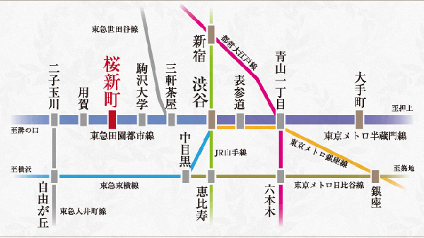 Surrounding environment. (Access view)