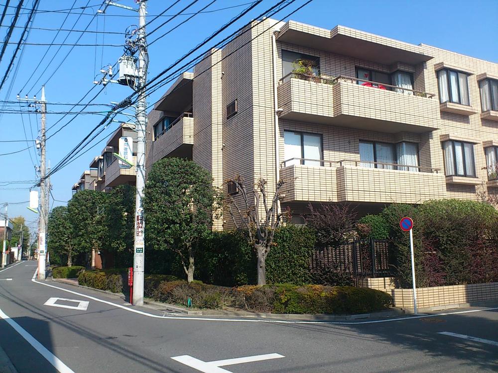 Local appearance photo. Local (11 May 2013) Shooting