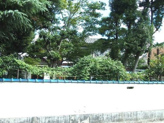 Local land photo. Local Photos