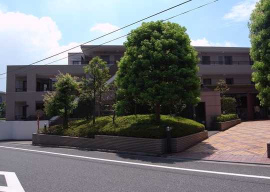 Local appearance photo