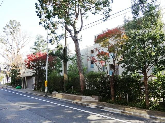 Local appearance photo