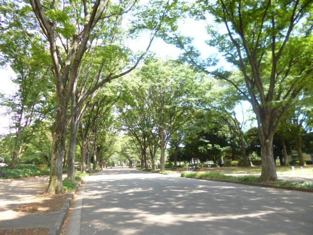 Other local. Komazawa Olympic Park