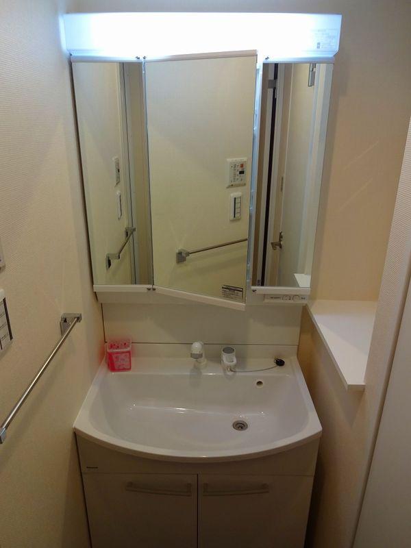 Wash basin, toilet. Bathroom vanity