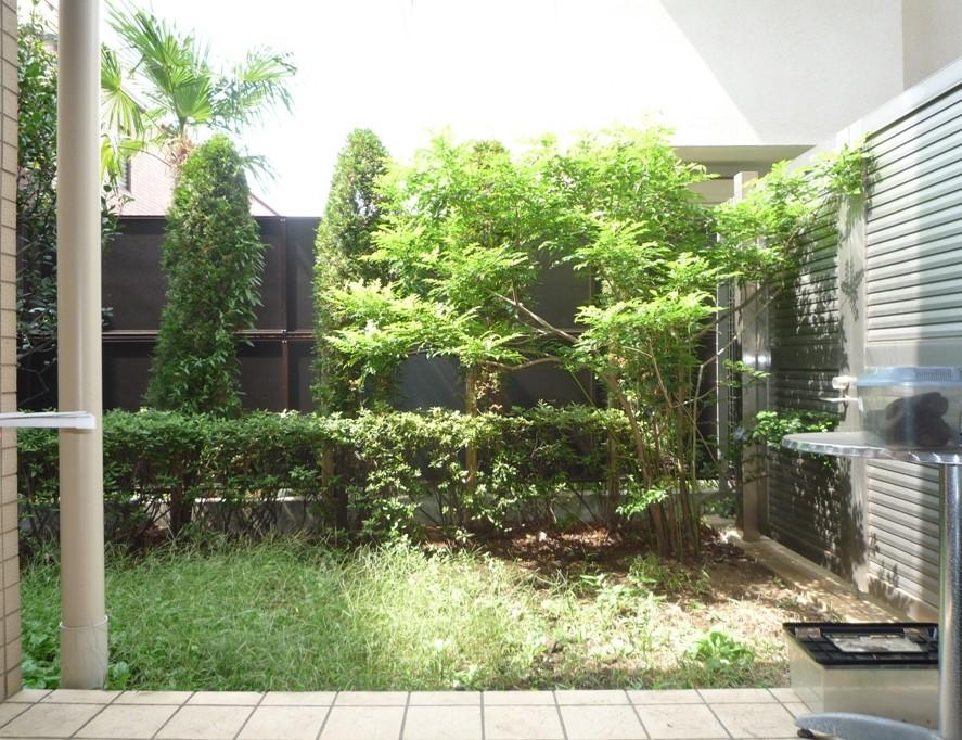 Garden. Indoor (September 2013) Shooting