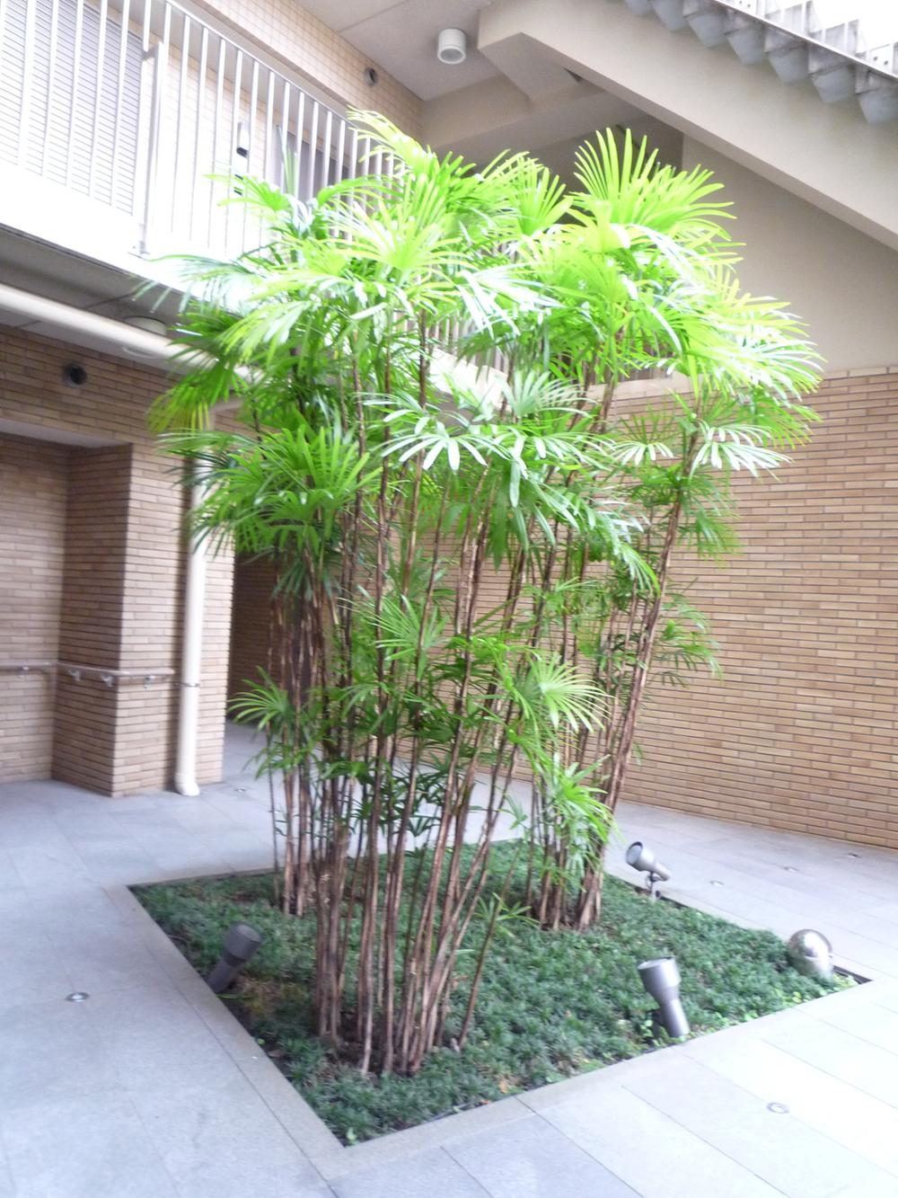 Other common areas. Common areas ~ Courtyard part