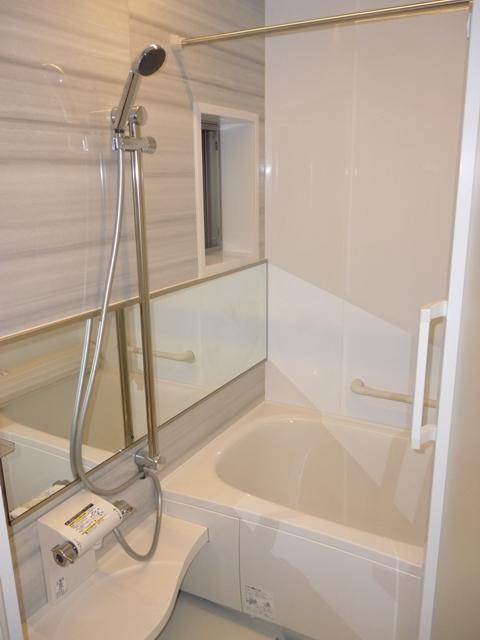 Bathroom. Indoor (12 May 2013) Shooting