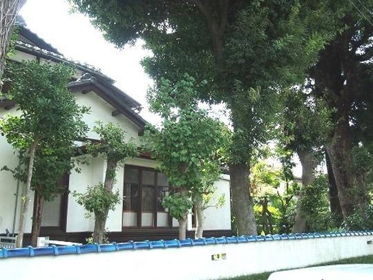 Local land photo. Local Photos